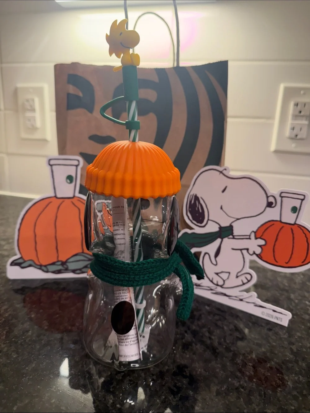 Starbucks Clear Snoopy Tumbler with Orange Lid & Green Straw